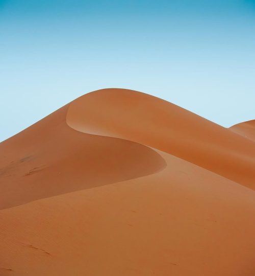 Contact travel to morocco