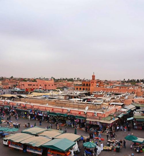 Contact travel to morocco