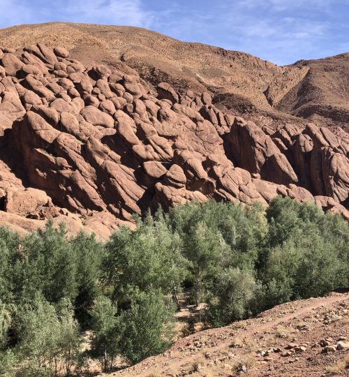 Contact travel to morocco